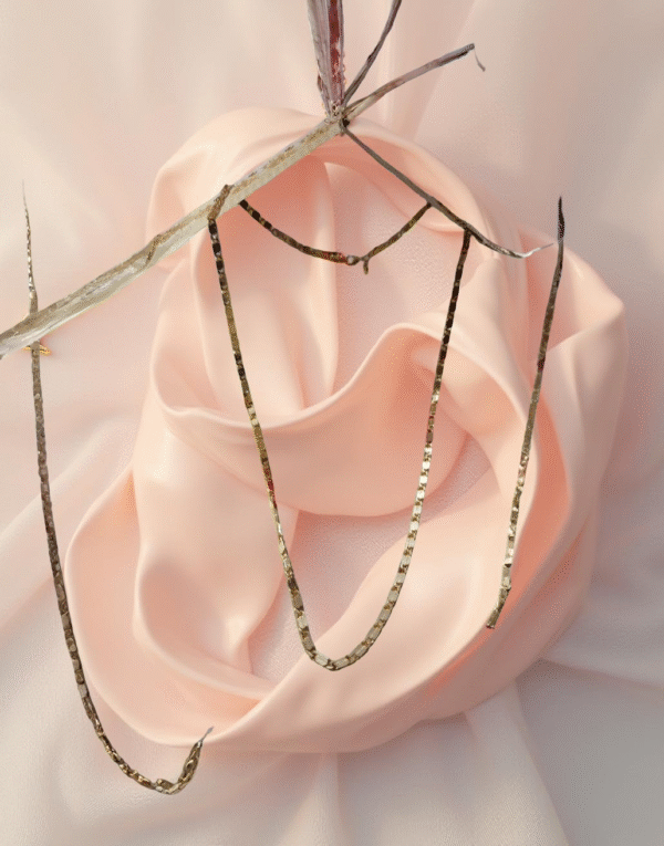 Elegant Designer Box Cut chain By Divy Gold